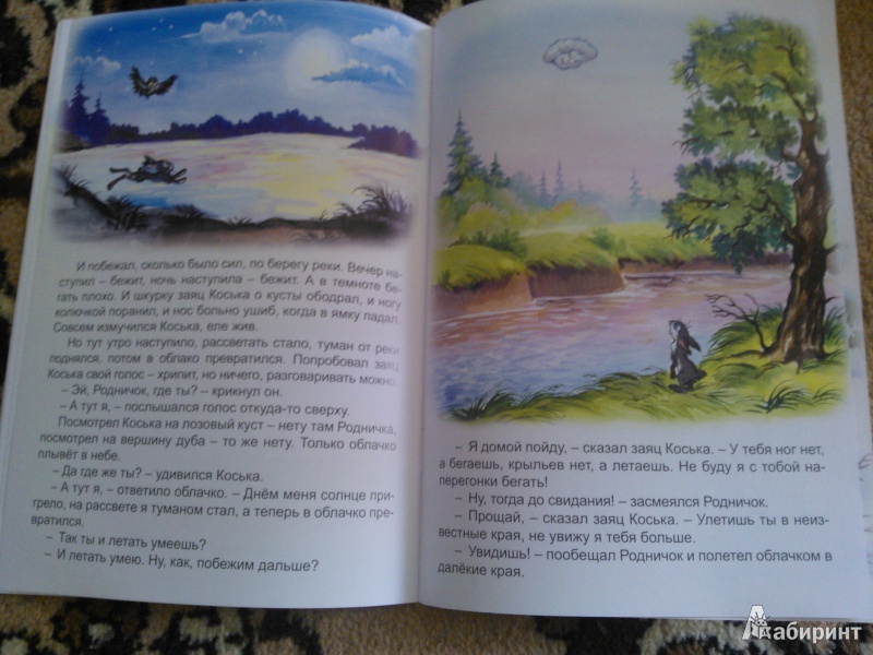 Иллюстрация 13 из 14 для Волшебные очки - Николай Грибачев | Лабиринт - книги. Источник: Вероника Руднева