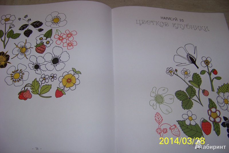 Иллюстрация 26 из 38 для 20 способов нарисовать тюльпан и 44 других прекрасных цветка - Лиза Конгдон | Лабиринт - книги. Источник: G