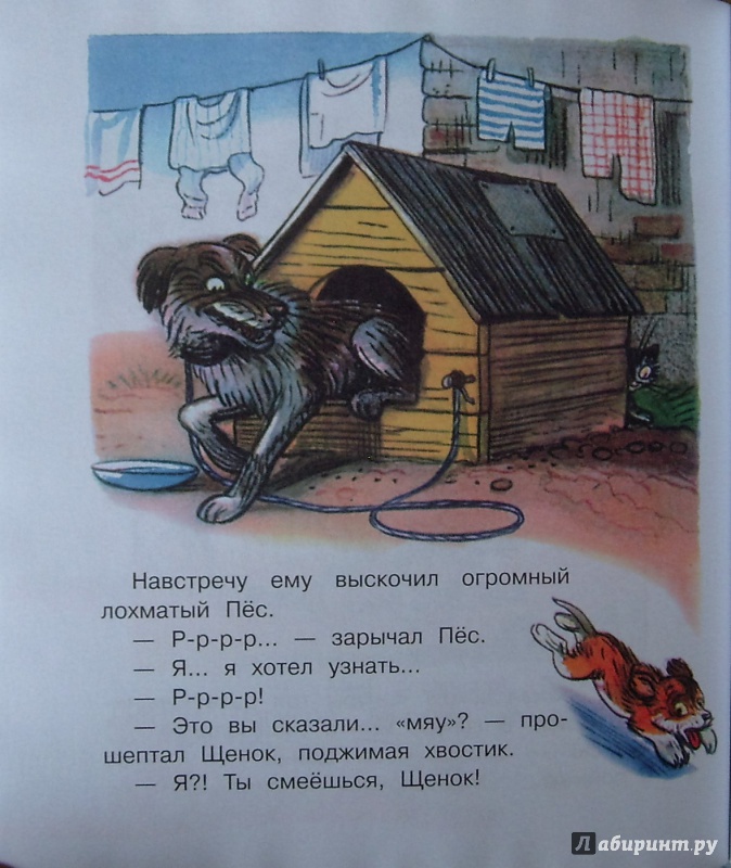 Иллюстрация 24 из 29 для Загадочные истории - Владимир Сутеев | Лабиринт - книги. Источник: Соловьев  Владимир
