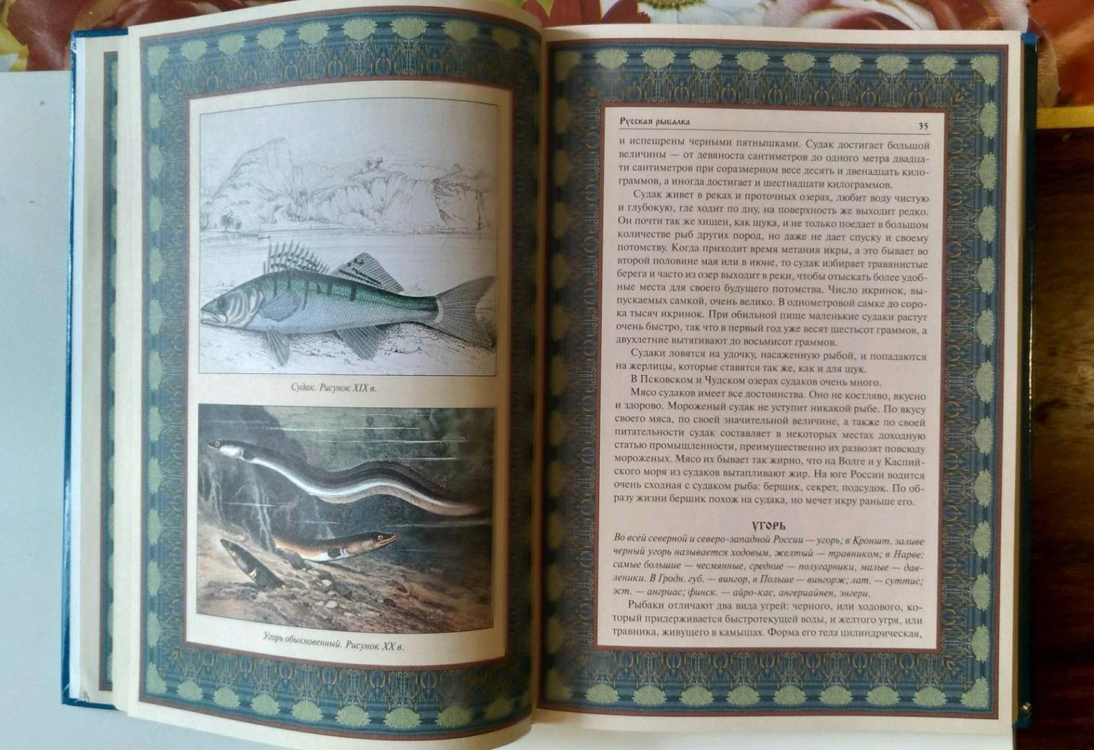 Иллюстрация 23 из 33 для Русская рыбалка | Лабиринт - книги. Источник: Минаков Максим