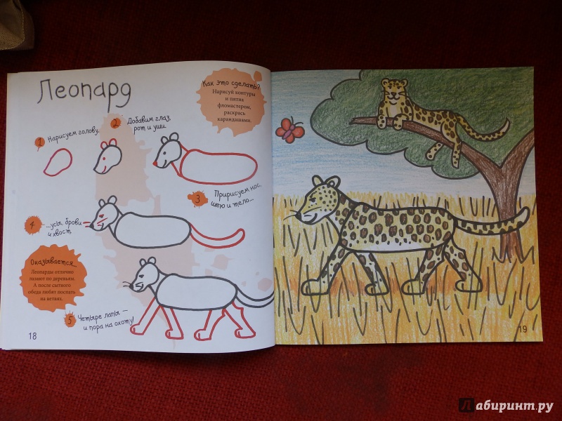 Иллюстрация 11 из 36 для Как нарисовать зебру и других животных - Марк Берджин | Лабиринт - книги. Источник: taxik