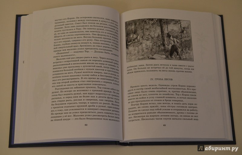 Иллюстрация 40 из 56 для Рассказы о животных. Часть 2 - Эрнест Сетон-Томпсон | Лабиринт - книги. Источник: R.O.S.S.