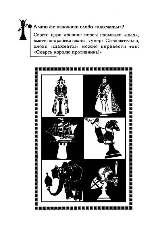 Иллюстрация 5 из 15 для Прогулки по белым и черным полям - Ольга Подгаец | Лабиринт - книги. Источник: Ялина