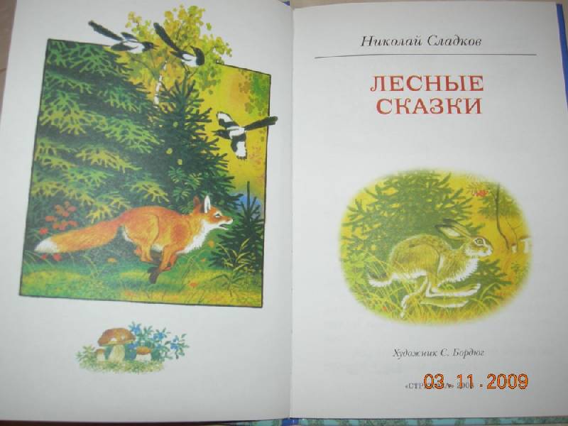 Иллюстрация 6 из 18 для Лесные сказки - Николай Сладков | Лабиринт - книги. Источник: Соловей