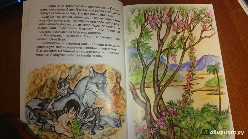 Иллюстрация 4 из 5 для Маугли - Редьярд Киплинг | Лабиринт - книги. Источник: Третьякова  Катя