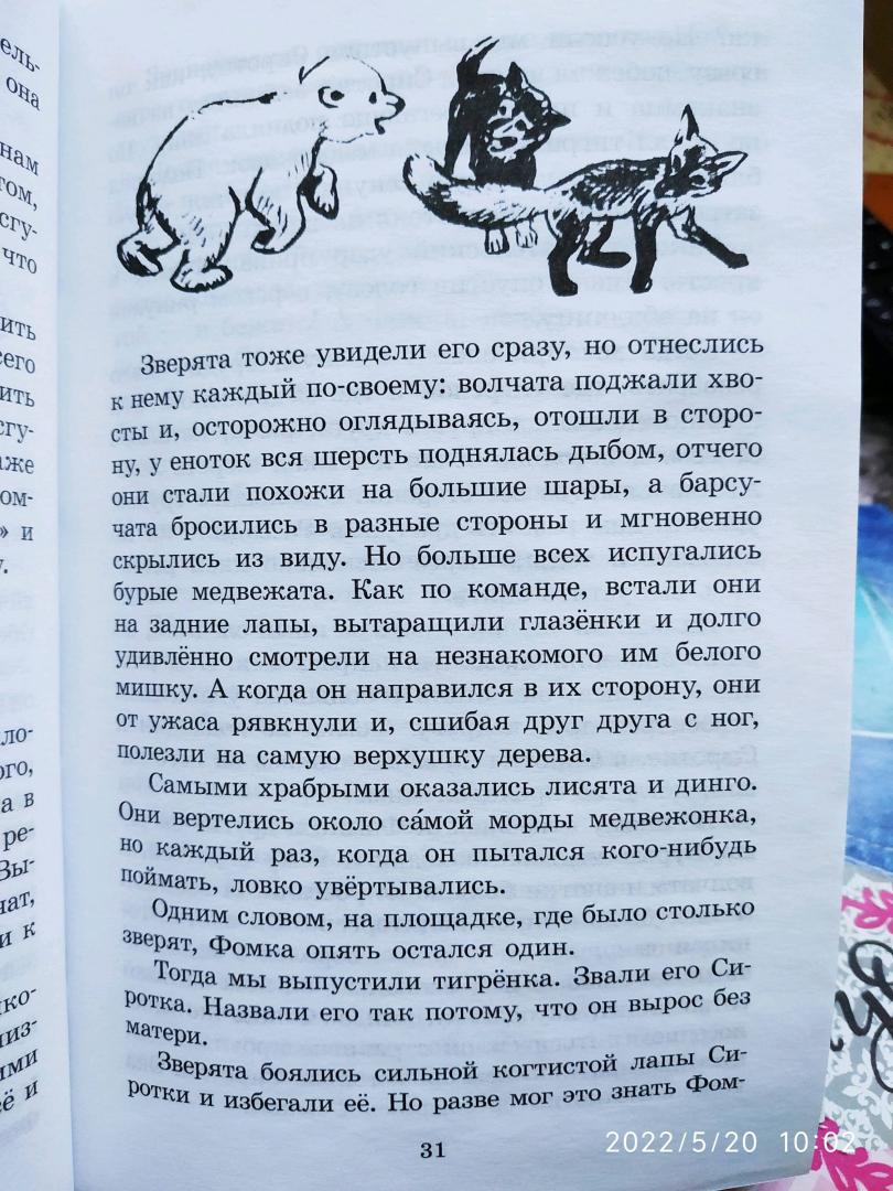 Иллюстрация 32 из 32 для Забавные животные - Вера Чаплина | Лабиринт - книги. Источник: Ekaterina Фиалковая