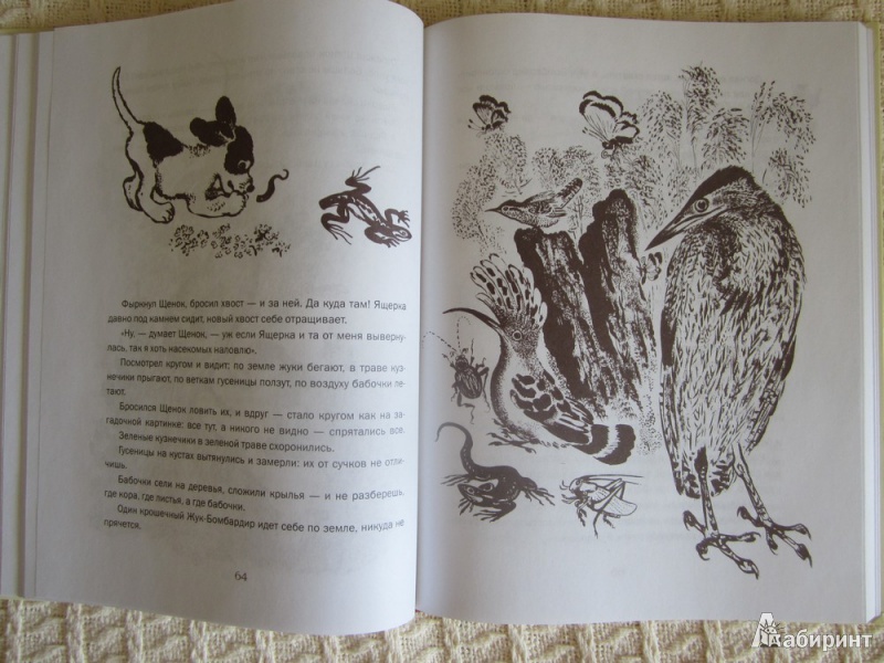 Иллюстрация 8 из 17 для Лесные были и небылицы - Виталий Бианки | Лабиринт - книги. Источник: ЮлияО