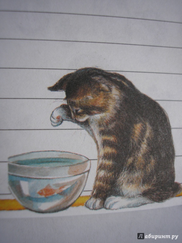 Иллюстрация 15 из 34 для Блокнот. Кошки А6 | Лабиринт - канцтовы. Источник: Oksana L
