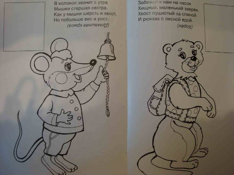 Иллюстрация 3 из 8 для Кто живет в зоопарке - Скребцова, Лопатина | Лабиринт - книги. Источник: Ogha