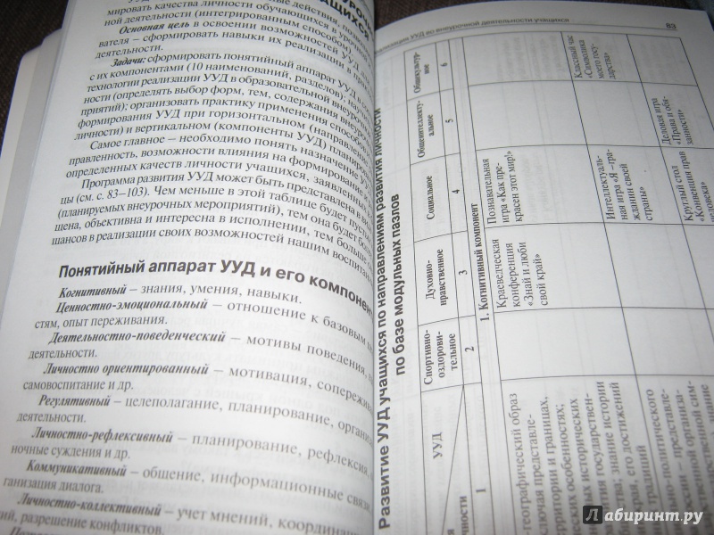 Иллюстрация 15 из 38 для Внеурочная деятельность. Теория и практика. 1-11 классы | Лабиринт - книги. Источник: Гришина мама