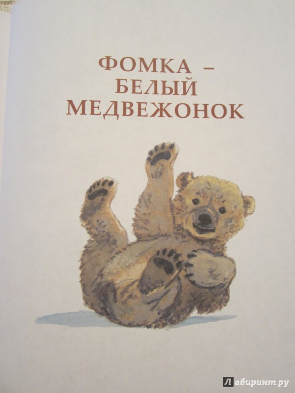 Иллюстрация 39 из 43 для Фомка - белый медвежонок - Вера Чаплина | Лабиринт - книги. Источник: ЮлияО