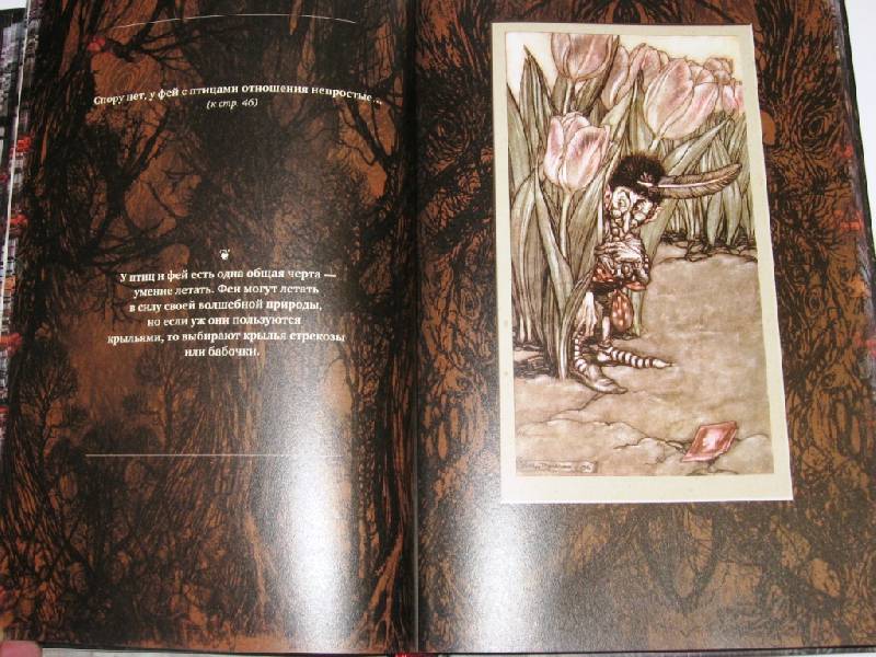 Иллюстрация 38 из 67 для Питер Пэн в Кенсингтонском саду - Джеймс Барри | Лабиринт - книги. Источник: Zhanna