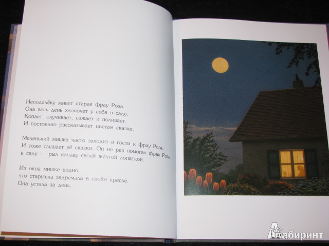 Иллюстрация 26 из 42 для Сладких снов, маленький медвежонок - Кинт Буххольц | Лабиринт - книги. Источник: Nemertona