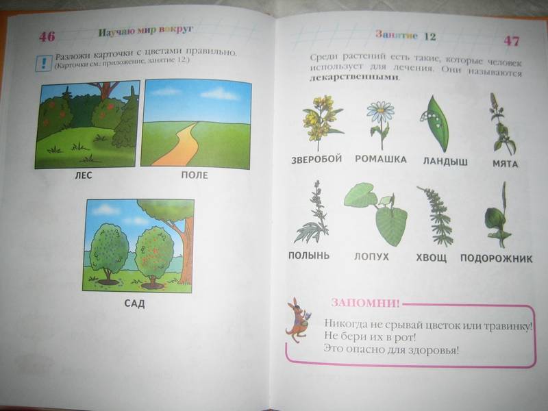 Иллюстрация 63 из 81 для Изучаю мир вокруг: для одаренных детей 5-6 лет - Валентина Егупова | Лабиринт - книги. Источник: Nnatali