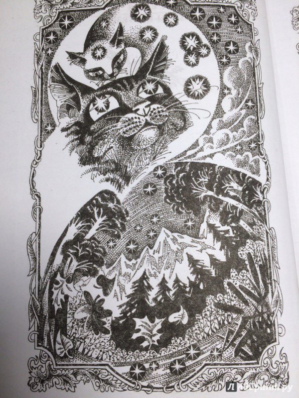 Иллюстрация 7 из 29 для Знак трех - Эрин Хантер | Лабиринт - книги. Источник: Таганчикова  Елизавета Игоревна
