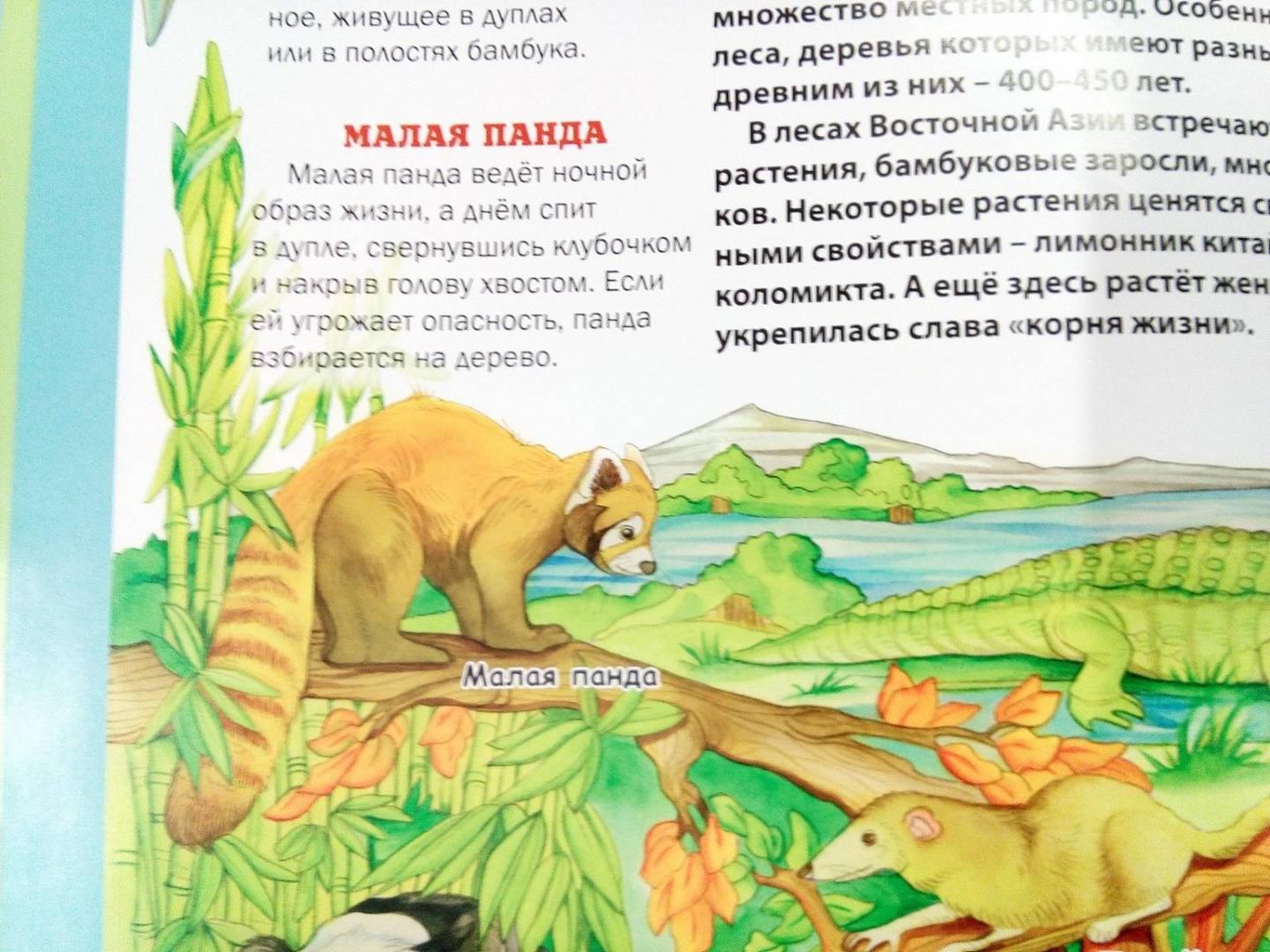 Иллюстрация 3 из 6 для Атлас животных планеты Земля - Анита Анселми | Лабиринт - книги. Источник: Книголюб!