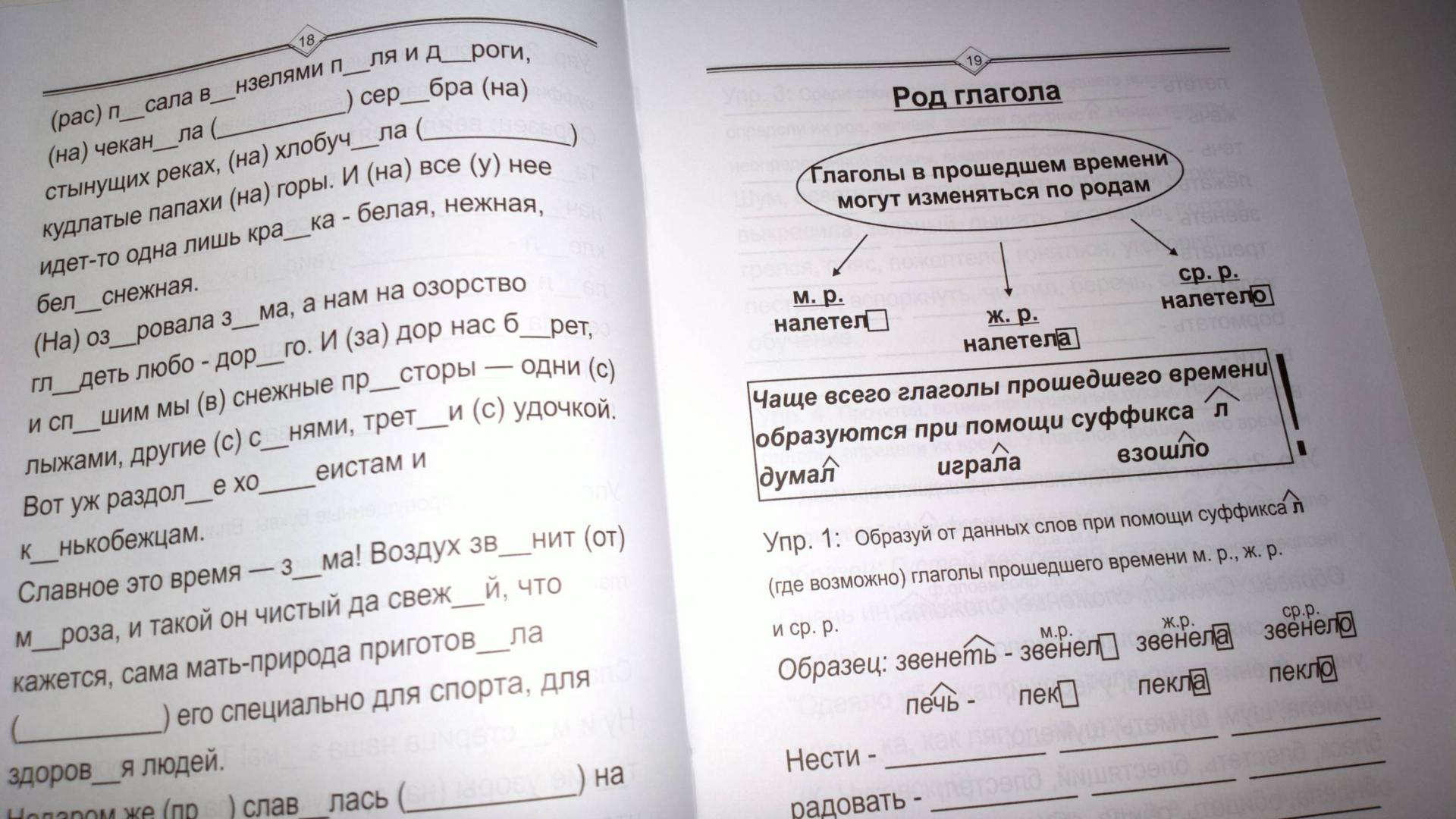 Иллюстрация 12 из 17 для Глагол: русский язык легко и быстро - Марина Зотова | Лабиринт - книги. Источник: Надежда