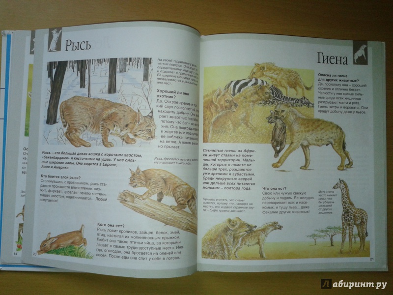 Иллюстрация 45 из 50 для Животные - Букобза, Мулинье | Лабиринт - книги. Источник: Пастухова  Инна