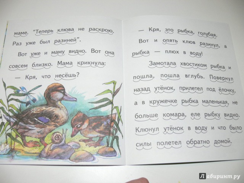 Иллюстрация 18 из 28 для Кружечка под ёлочкой - Борис Житков | Лабиринт - книги. Источник: Irbis