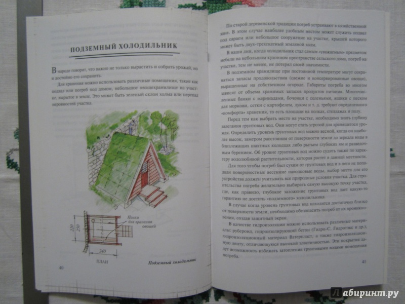 Иллюстрация 10 из 22 для Хозяйственные постройки на садовом участке - Страшнов, Страшнова | Лабиринт - книги. Источник: A. Fragaria