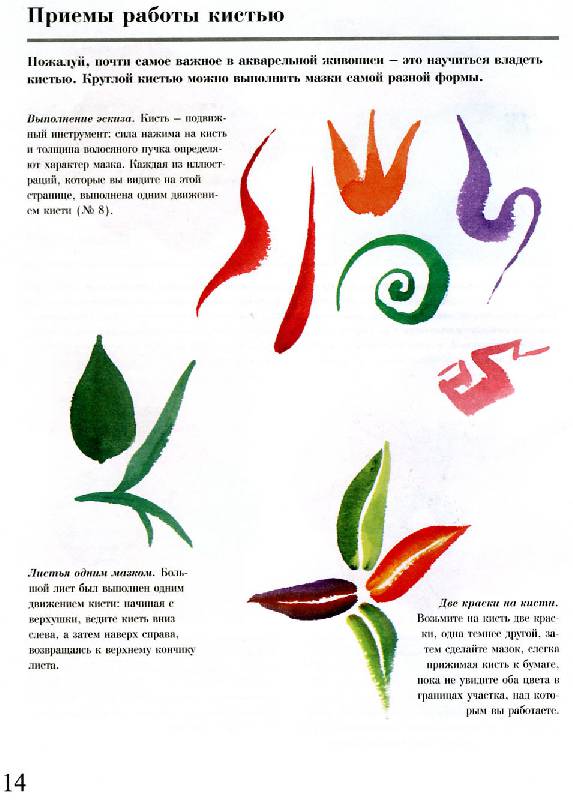 Иллюстрация 14 из 21 для Как рисовать цветы акварелью - Во Тревор | Лабиринт - книги. Источник: Росинка