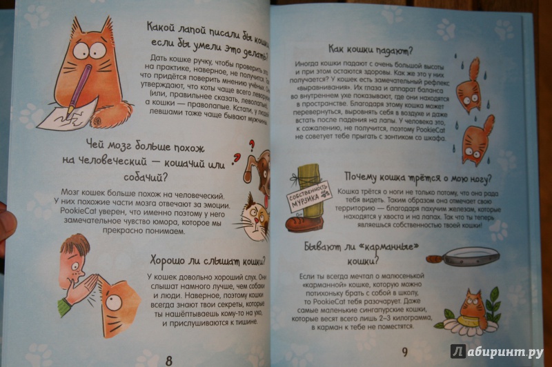 Иллюстрация 8 из 28 для Почему кот мурлычет и ещё 100 ответов на детские "почему" про кошек от PookieCat - Брюгген Ван | Лабиринт - книги. Источник: Кабанова  Ксения Викторовна