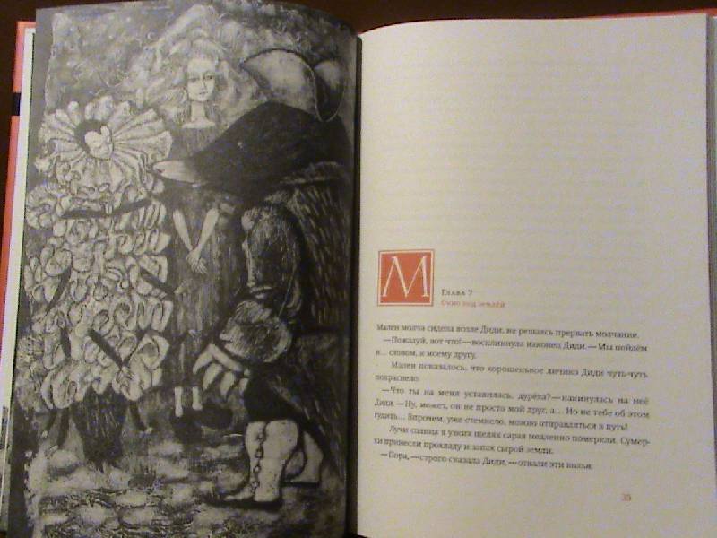 Иллюстрация 28 из 58 для Подземный принц - Софья Прокофьева | Лабиринт - книги. Источник: Обычная москвичка
