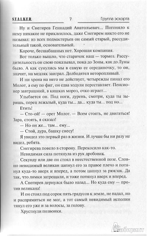 Иллюстрация 4 из 7 для Группа эскорта - Зорич, Володихин | Лабиринт - книги. Источник: Bash7