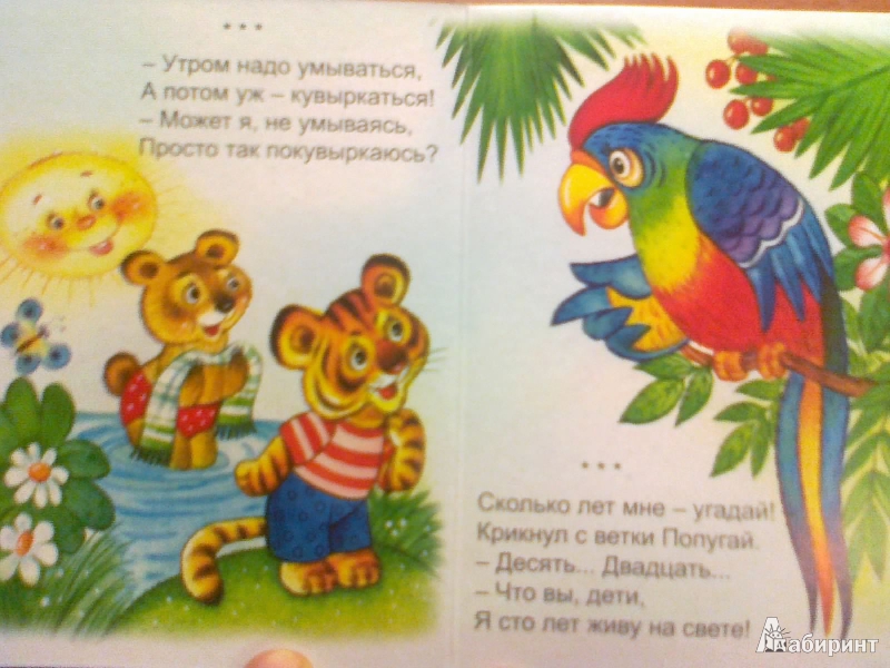 Иллюстрация 4 из 6 для От жирафа до слона (книжки на картоне) - Сергей Козлов | Лабиринт - книги. Источник: Kirenzia
