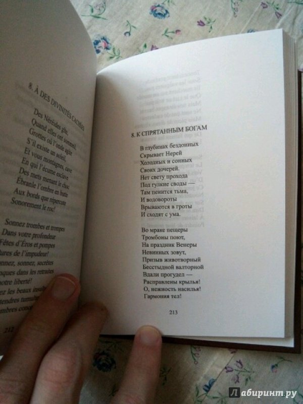 Иллюстрация 41 из 43 для Стихотворения - Поль Валери | Лабиринт - книги. Источник: жилов станислав