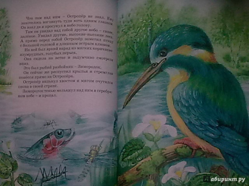 Иллюстрация 28 из 41 для Большая книга сказок - Виталий Бианки | Лабиринт - книги. Источник: н.в.а.