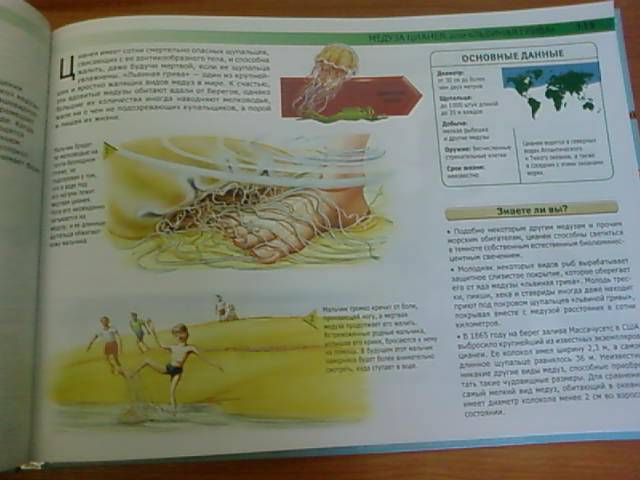 Иллюстрация 27 из 36 для Акулы и другие монстры подводного мира: самые ужасные создания Мирового океана - Сюзан Барраклаух | Лабиринт - книги. Источник: lettrice