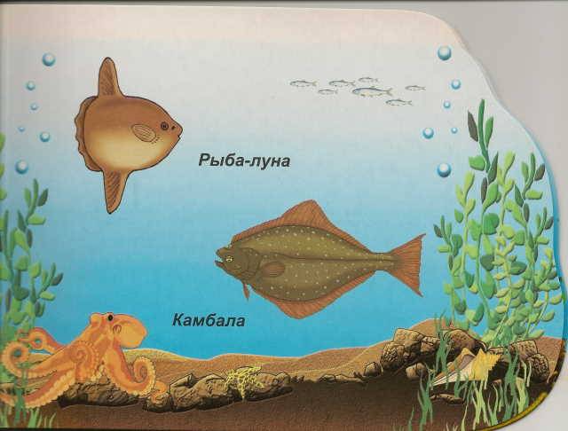 Иллюстрация 6 из 14 для Морские рыбы (вырубка) | Лабиринт - книги. Источник: _Елена_