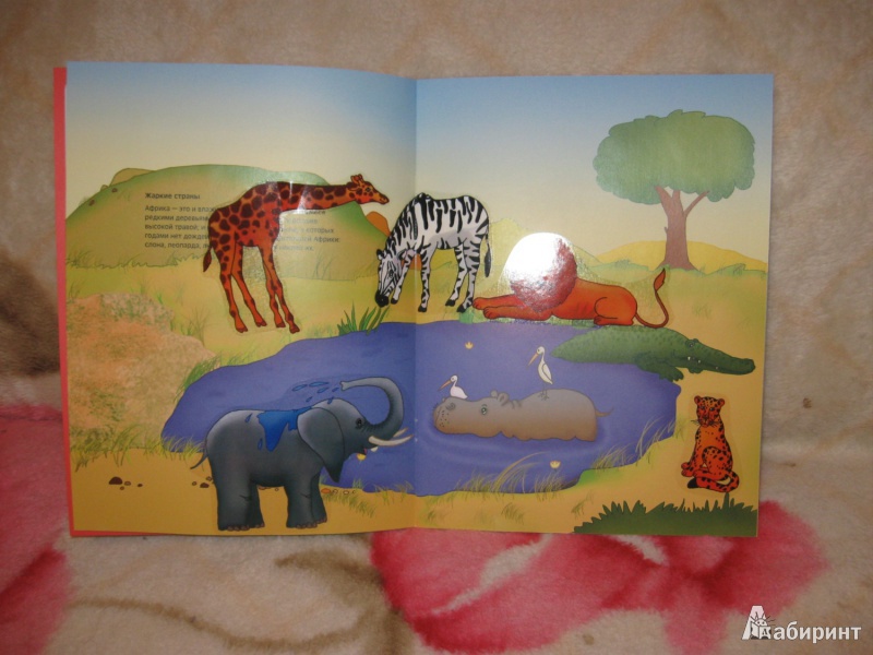 Иллюстрация 3 из 14 для Чудесные наклейки: Где живет жираф - Дарья Колдина | Лабиринт - книги. Источник: Култышева  Оксана