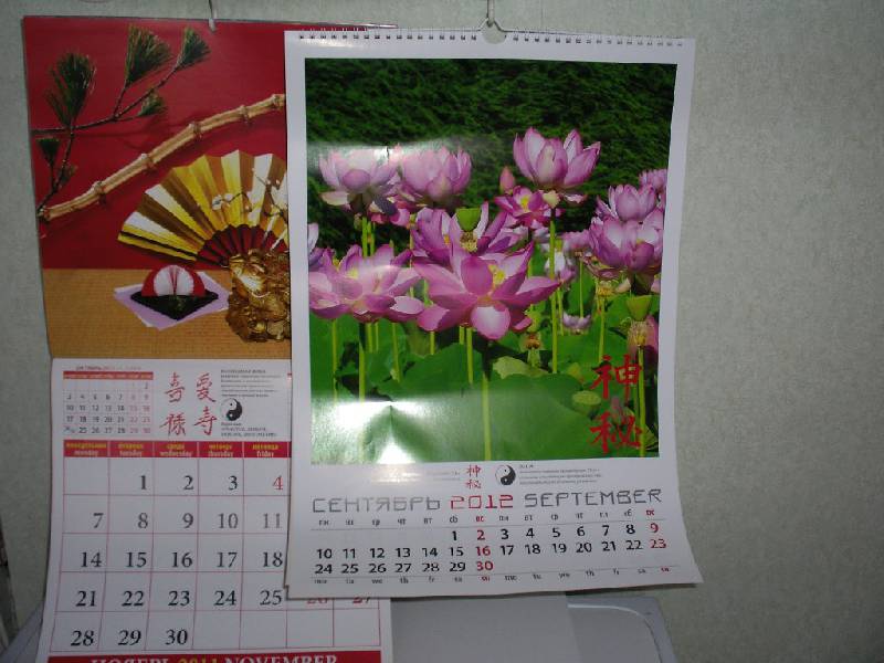 Иллюстрация 6 из 6 для Календарь на 2012 год. "Календарь Фэн-Шуй" (12209) | Лабиринт - сувениры. Источник: Tiger.