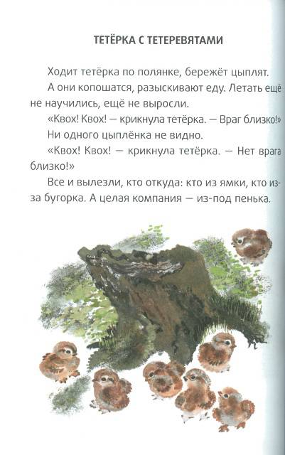 Иллюстрация 8 из 42 для Большие и маленькие - Евгений Чарушин | Лабиринт - книги. Источник: bel-k