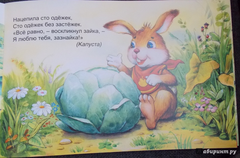 Иллюстрация 6 из 23 для Загадки с грядки - Бурдин, Кумча | Лабиринт - книги. Источник: Sweet mama