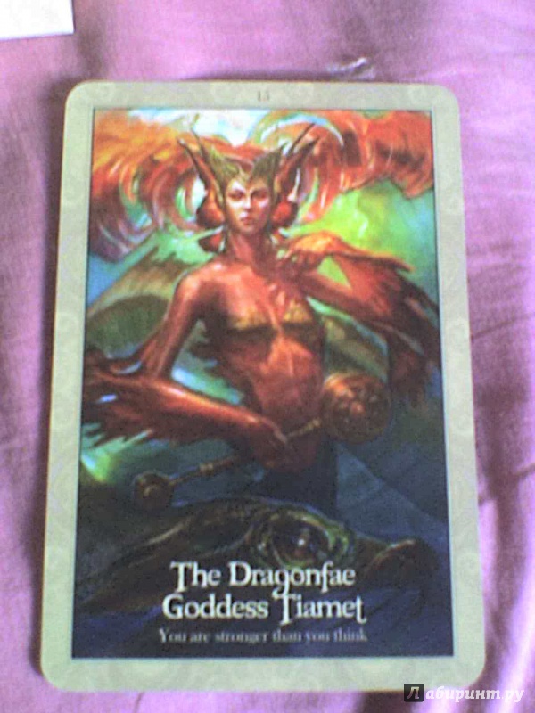 Иллюстрация 7 из 9 для Oracle of the Dragonfae (книга + 43 карты) - Lucy Cavendish | Лабиринт - книги. Источник: Роза с шипами