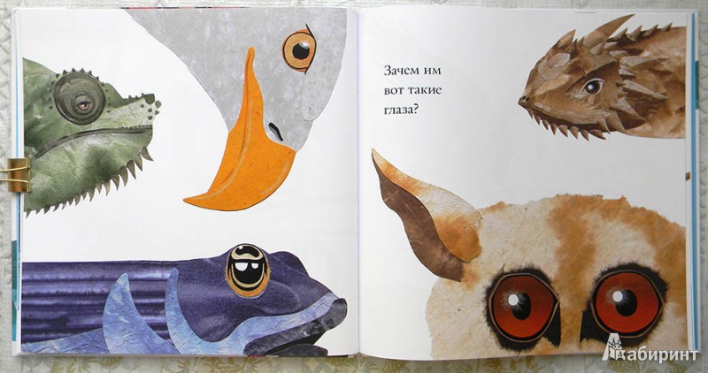 Иллюстрация 25 из 39 для Про хвосты, носы и уши. Интересные факты о животных - Дженкинс, Пейдж | Лабиринт - книги. Источник: Раскова  Юлия