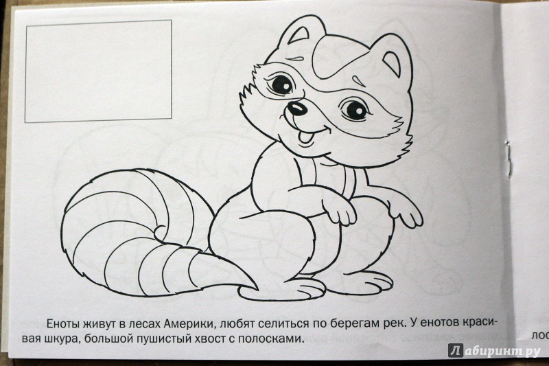 Иллюстрация 4 из 25 для Раскраска с наклейками "Дикие животные" | Лабиринт - книги. Источник: Террил