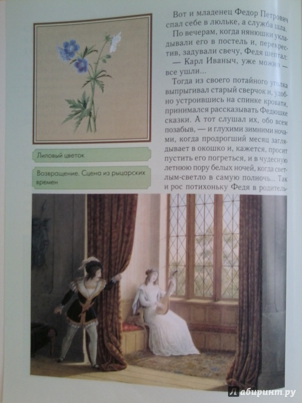 Иллюстрация 8 из 31 для Федор Толстой - Наталия Соломко | Лабиринт - книги. Источник: Столярова  Елена