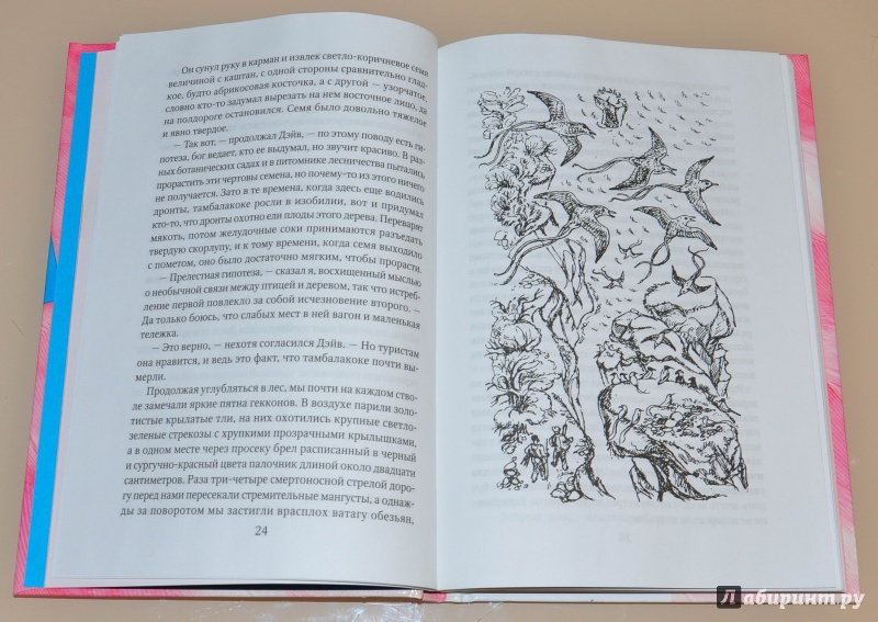 Иллюстрация 38 из 49 для Золотые крыланы и розовые голуби - Джеральд Даррелл | Лабиринт - книги. Источник: leo tolstoy