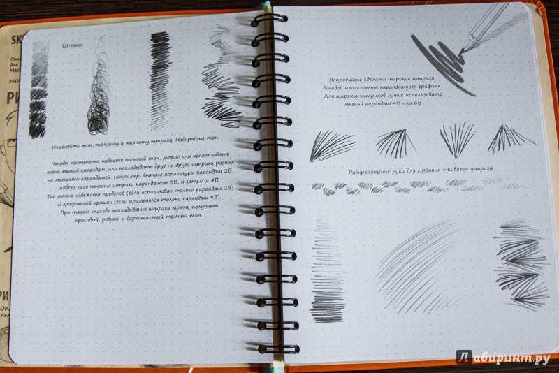 Иллюстрация 12 из 27 для Sketchbook. Рисуем за 30 секунд. Основные навыки - Лутц, Осипов, Пименова | Лабиринт - канцтовы. Источник: MethaPhizika