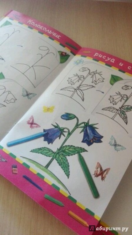 Иллюстрация 8 из 19 для Учимся рисовать. Для девочек | Лабиринт - книги. Источник: Юлия Ашурок