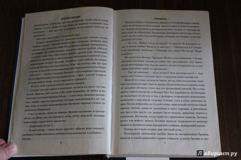 Иллюстрация 21 из 26 для Конокрад - Михаил Щукин | Лабиринт - книги. Источник: Полецкая  Яна