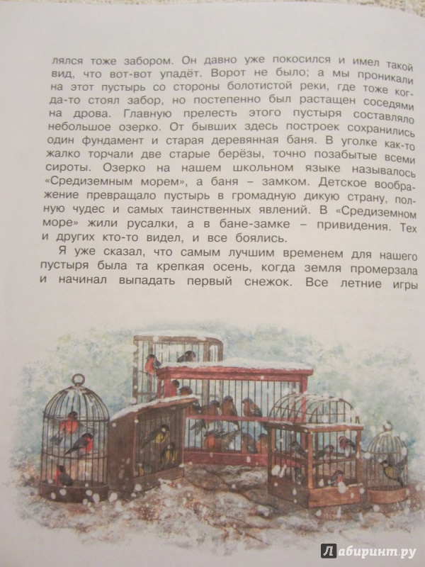 Иллюстрация 19 из 37 для Серая Шейка - Дмитрий Мамин-Сибиряк | Лабиринт - книги. Источник: ЮлияО