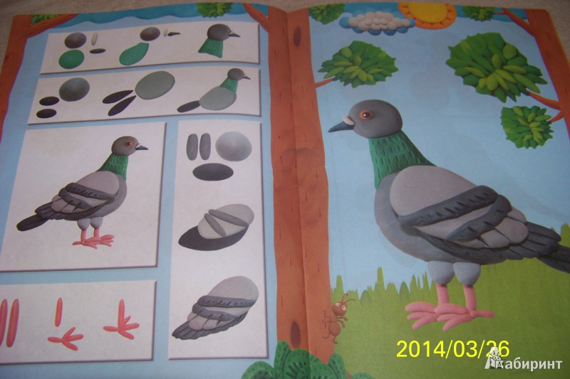 Иллюстрация 8 из 15 для Лепим птиц леса. Секреты пластилина - О. Московка | Лабиринт - книги. Источник: G