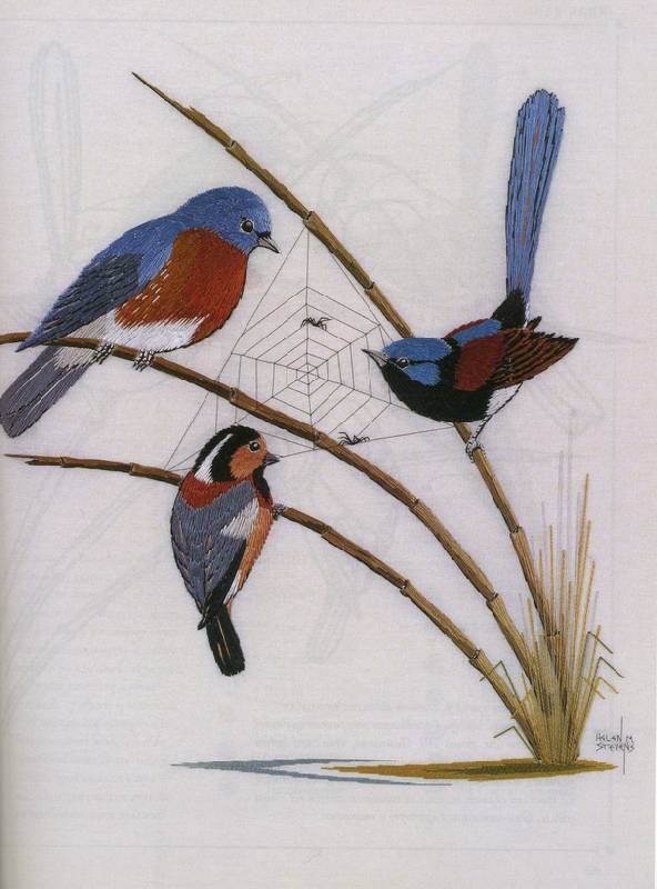 Иллюстрация 10 из 33 для Птицы. Практическое руководство - Хелен Стивенс | Лабиринт - книги. Источник: Panterra