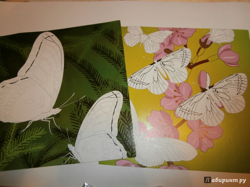 Иллюстрация 2 из 5 для 39445 Рисунки из песка и пайеток Удивит. Бабочки | Лабиринт - игрушки. Источник: Tiger.