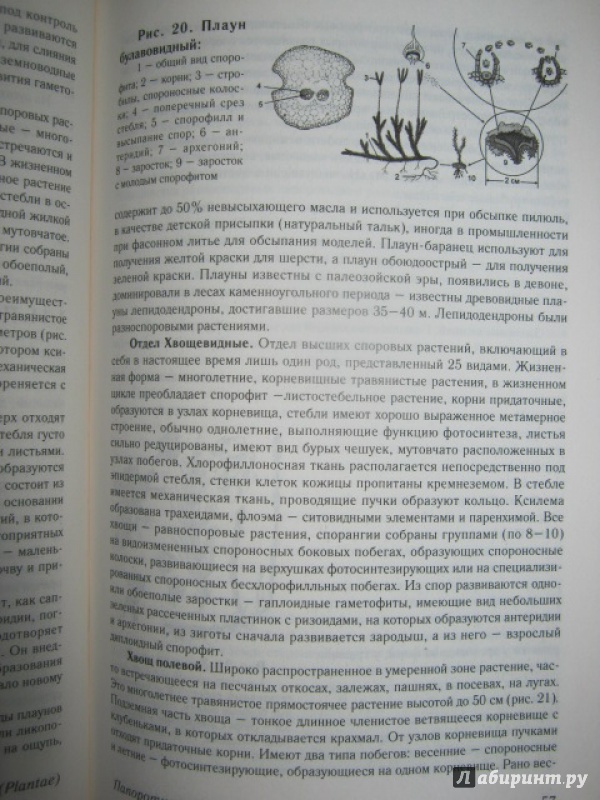 Иллюстрация 8 из 16 для Биология. Полный курс подготовки к ЕГЭ (+CD) - Анатолий Пименов | Лабиринт - книги. Источник: Евгения39